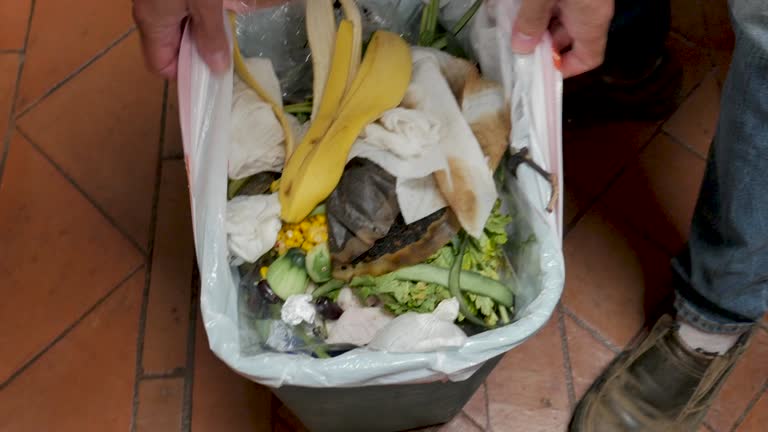 Best Carpet Removal and Disposal  in Perry, MI