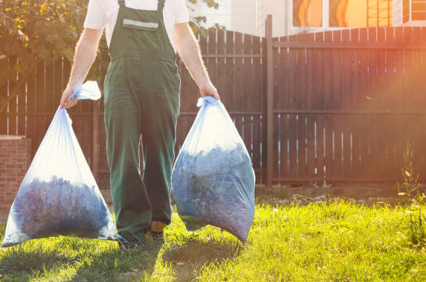 Best Property Management Cleanouts  in Perry, MI
