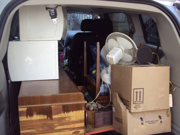 Best Estate Cleanout  in Perry, MI