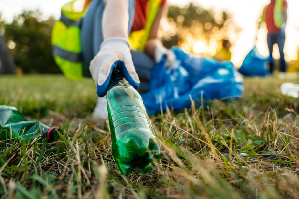 Best Yard Waste Removal  in Perry, MI